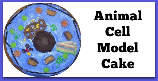 plant cell model for kids to make