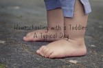 Homeschooling with a Toddler – a Typical Day