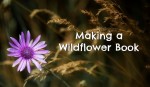 Making a Wildflower Book
