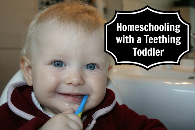 Homeschooling with a Teething Toddler
