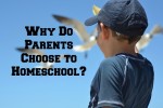 Why Do Parents Choose to Homeschool?