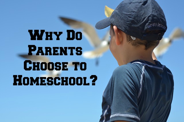 Why Do Parents Choose to Homeschool