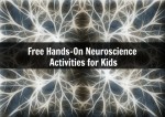 Free Hands-On Neuroscience Activities for Kids