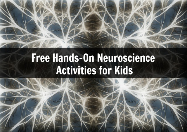 Free Hands-On Neuroscience for Kids