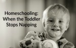 Homeschooling:  When the Toddler Stops Napping…