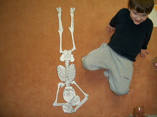 skeleton3