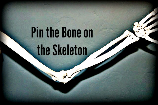 Pin the Bone on the Skeleton