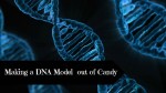 Making a DNA model out of candy
