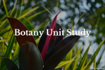 Botany Unit Study