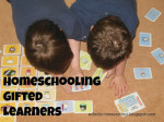 Homeschooling Gifted Learners