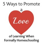 5 Ways to Promote a Love for Learning When Formally Schooling