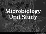 Microbiology Unit Study