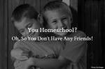 You Homeschool?  Oh, So You Don’t Have Any Friends!