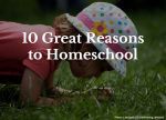 10 Great Reasons to Homeschool