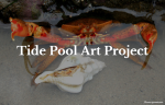 Tide Pool Art Project