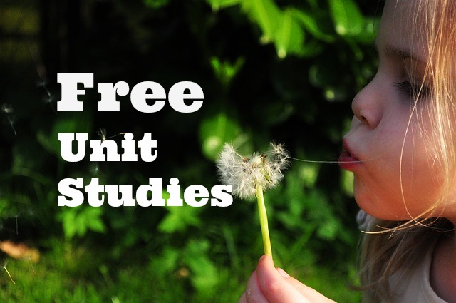 Click here to see the list of unit studies on the blog.