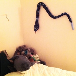 Her bedroom wall