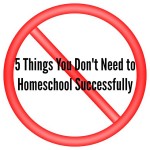 5 Things You Don’t Need to Homeschool Successfully
