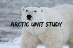 Arctic Unit Study