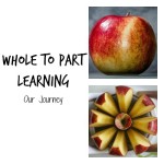 Whole to Part Learning:  Our Journey