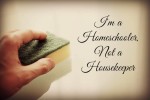 I’m a Homeschooler, Not a Housekeeper