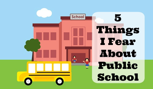5 Things I Fear About Public School