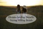 Homeschooling Benefit:  Strong Sibling Bonds