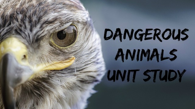 Dangerous Animals Unit Study