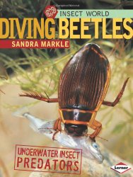 diving beetles