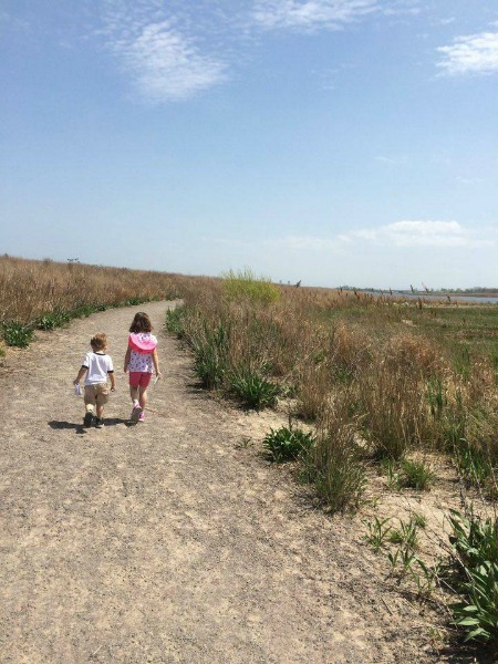 We also have a local Salt Marsh and nature trail