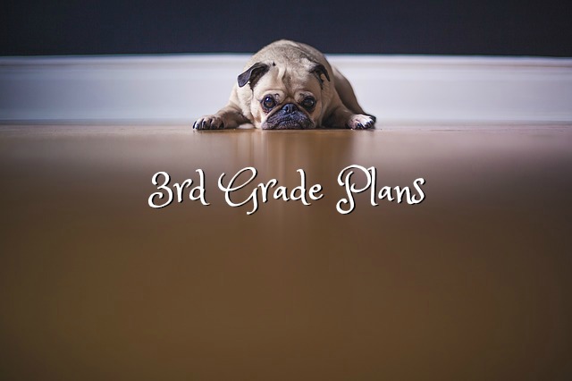3rd-grade-plans
