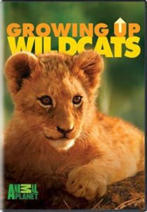 Vet Unit Study - Growing Up Wild Cats