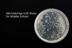 Microbiology Unit Study for Middle School
