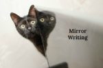 Mirror Writing