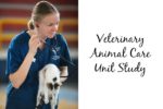 Veterinary Animal Care Unit Study